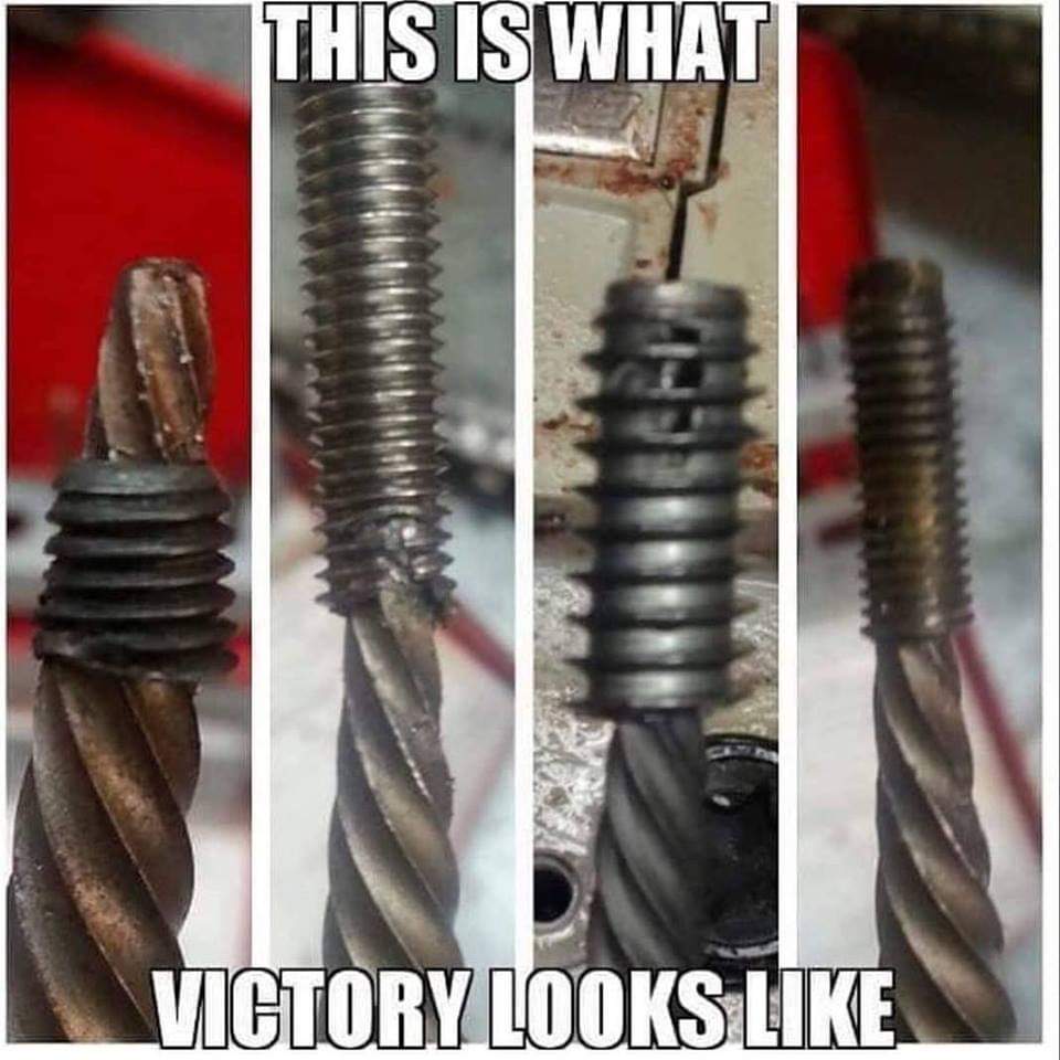 Screw - This Is What Victory Looks