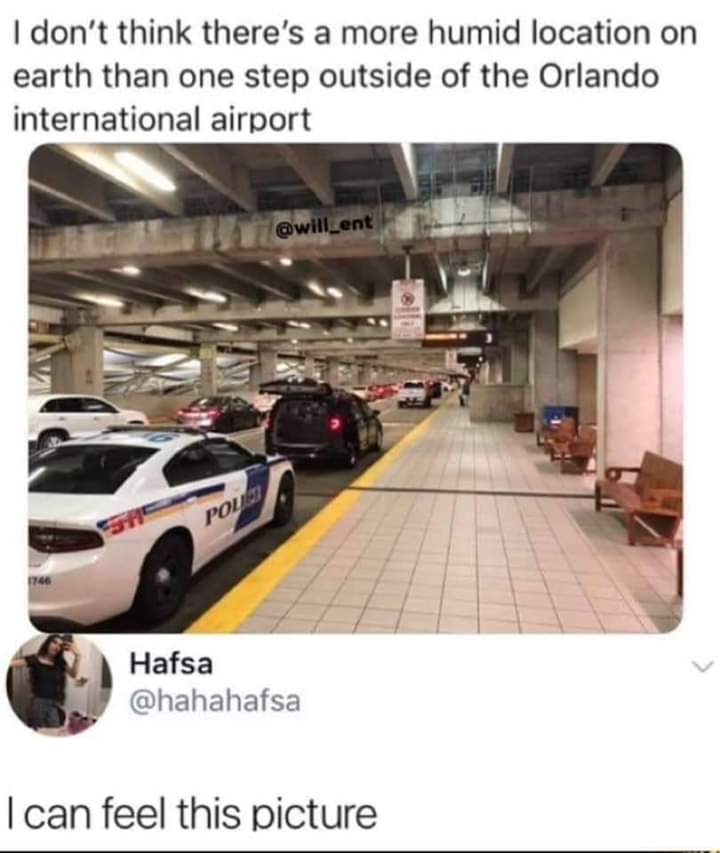 orlando airport humidity meme - I don't think there's a more humid location on earth than one step outside of the Orlando international airport Poud Hafsa I can feel this picture