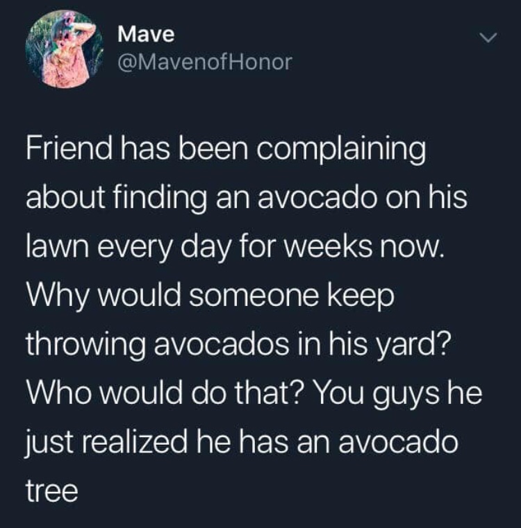 atmosphere - Mave Honor Friend has been complaining about finding an avocado on his lawn every day for weeks now. Why would someone keep throwing avocados in his yard? Who would do that? You guys he just realized he has an avocado tree