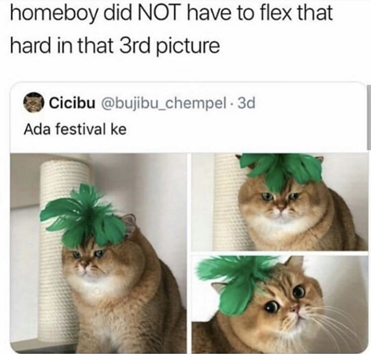 homeboy did not have to flex that hard - homeboy did Not have to flex that hard in that 3rd picture Cicibu . 3d Ada festival ke