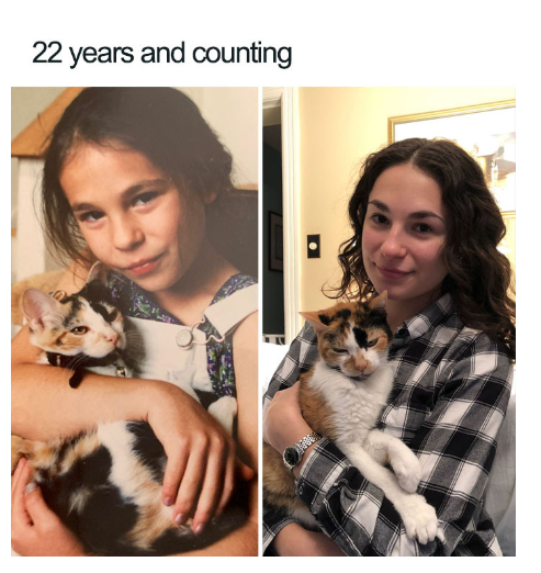 Cat - 22 years and counting