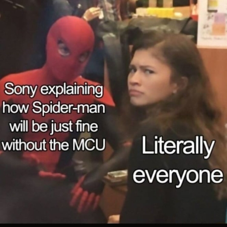 spider man explaining meme - Sony explaining how Spiderman will be just fine without the Mcu everyone