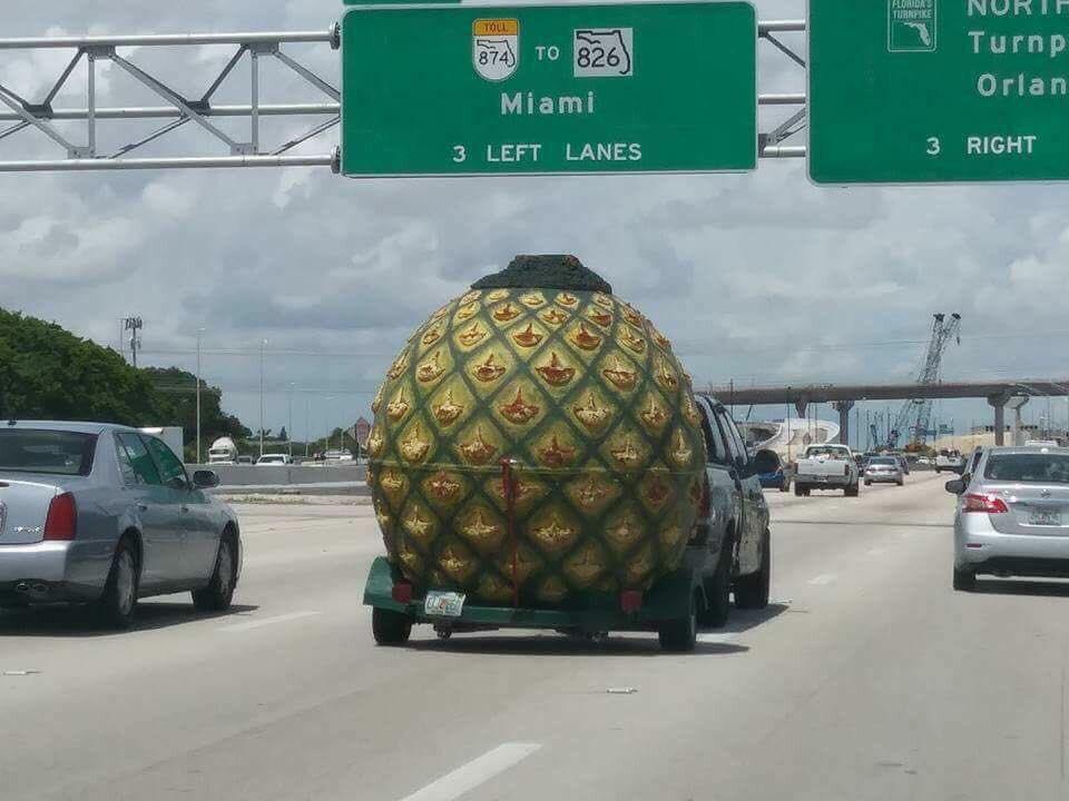 even spongebob is evacuating - Eladas Turnpike Soul 874 to 826 Miami Nurie Turnp Orlan 3 Left Lanes 3 Right