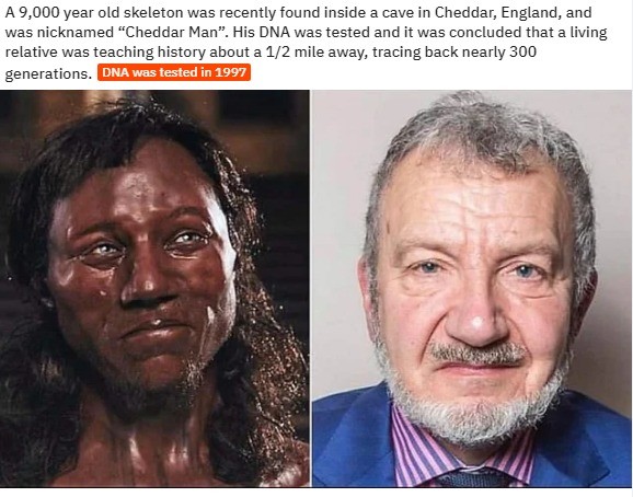 adrian targett cheddar man - A 9,000 year old skeleton was recently found inside a cave in Cheddar, England, and was nicknamed "Cheddar Man". His Dna was tested and it was concluded that a living relative was teaching history about a 12 mile away, tracing