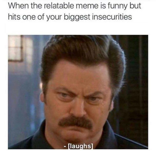 relatable meme is funny - When the relatable meme is funny but hits one of your biggest insecurities laughs