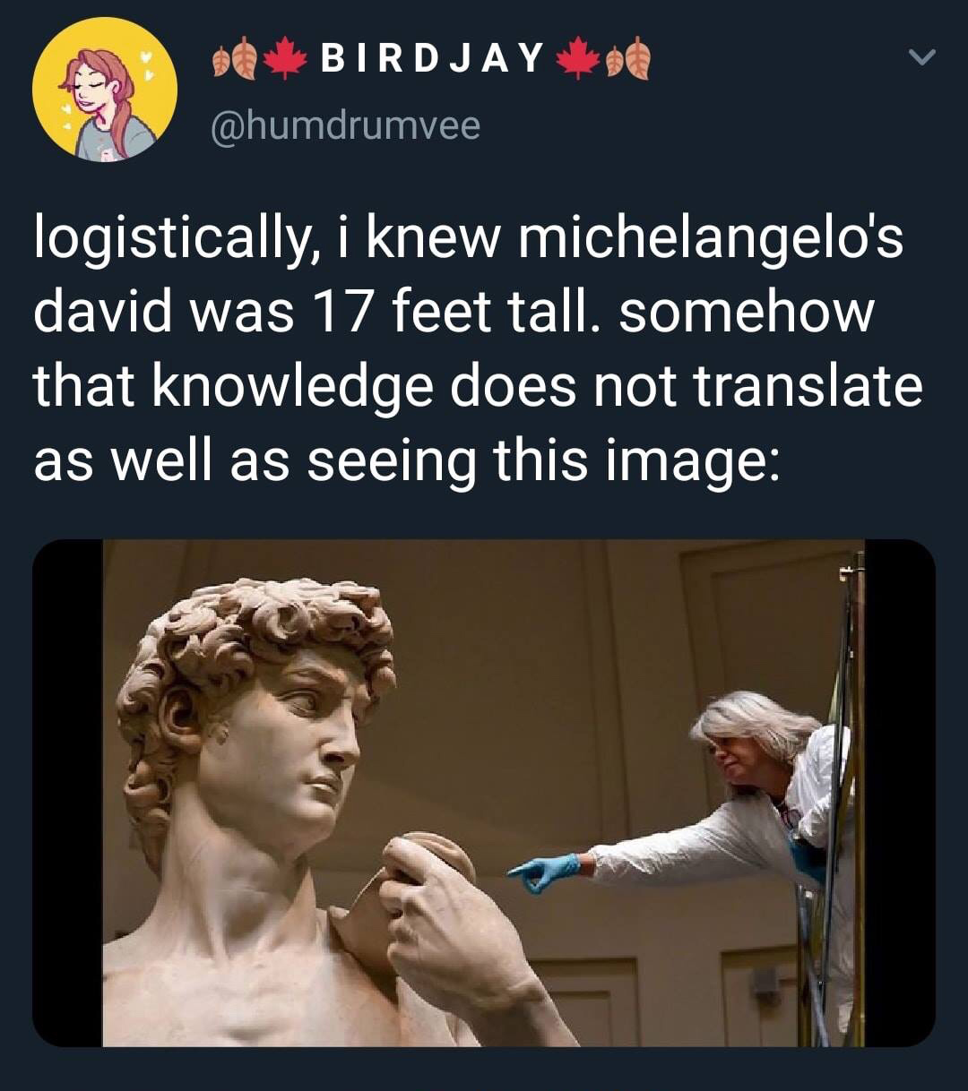 david - 0 Do Bird Jay logistically, i knew michelangelo's david was 17 feet tall. somehow that knowledge does not translate as well as seeing this image