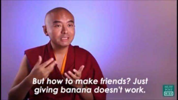 but how to make friends just giving banana doesnt work - But how to make friends? Just giving banana doesn't work.