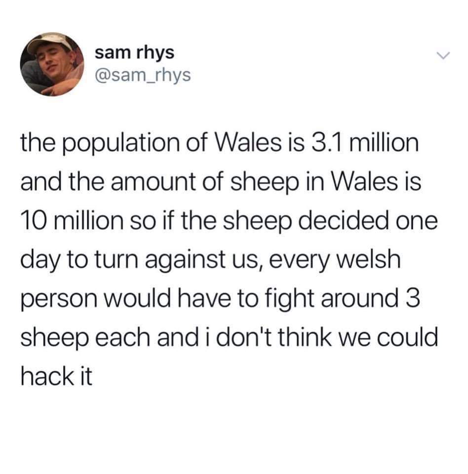 sam rhys the population of Wales is 3.1 million and the amount of sheep in Wales is 10 million so if the sheep decided one day to turn against us, every welsh person would have to fight around 3 sheep each and i don't think we could hack it
