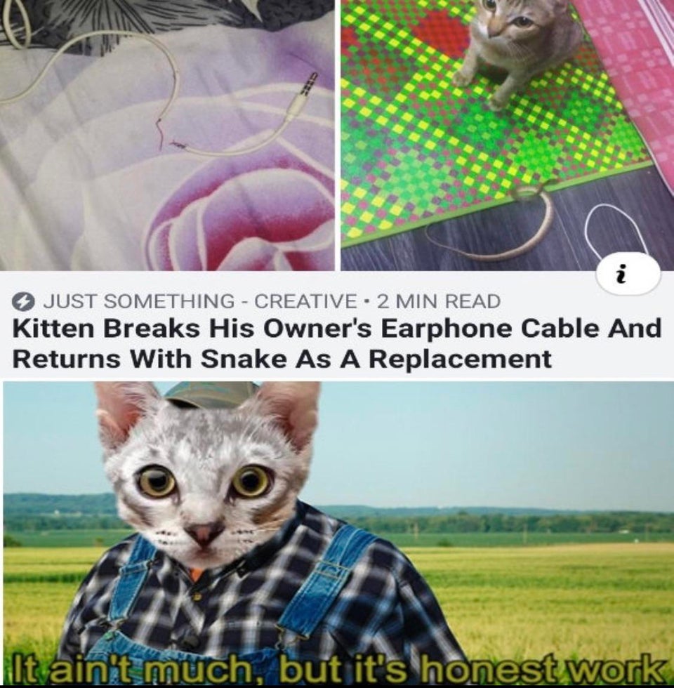 ain t much but it's honest work cat - Just Something Creative2 Min Read Kitten Breaks His Owner's Earphone Cable And Returns With Snake As A Replacement It ainit much, but it's honest work