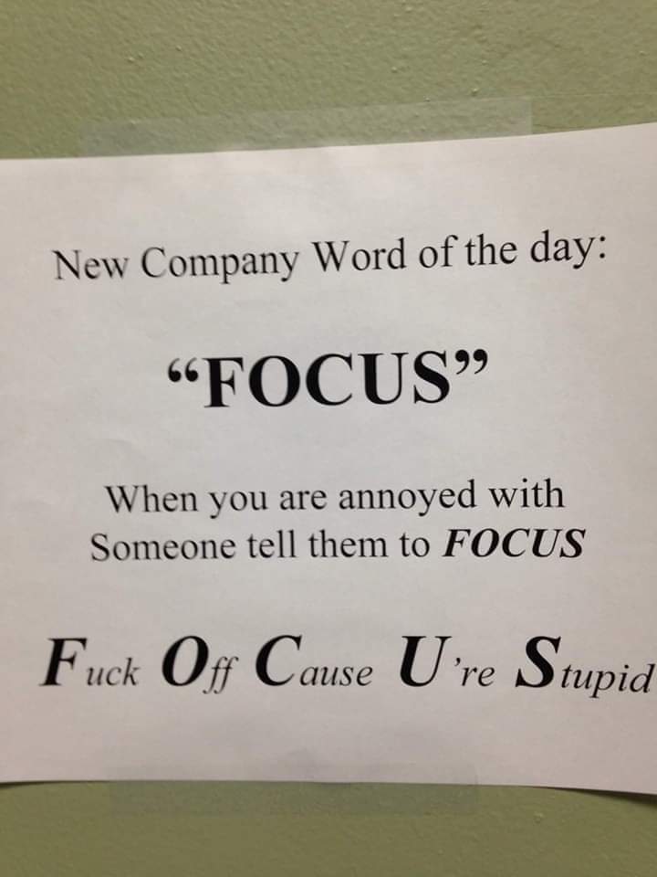 focus funny quotes - New Company Word of the day Focus When you are annoyed with Someone tell them to Focus Fuck Off Cause U're Stupid