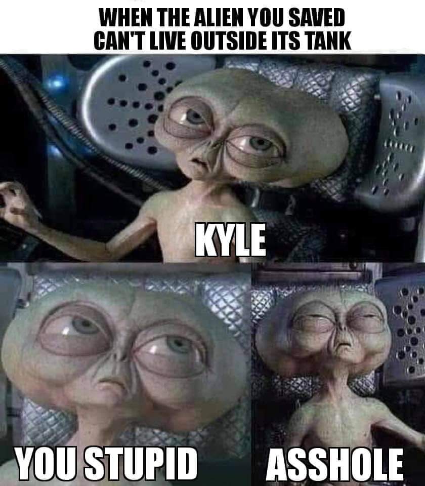 photo caption - When The Alien You Saved Can'T Live Outside Its Tank Kyle You Stupid Asshole