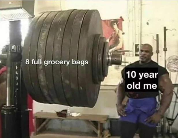 8 year old me meme - 8 full grocery bags 10 year old me