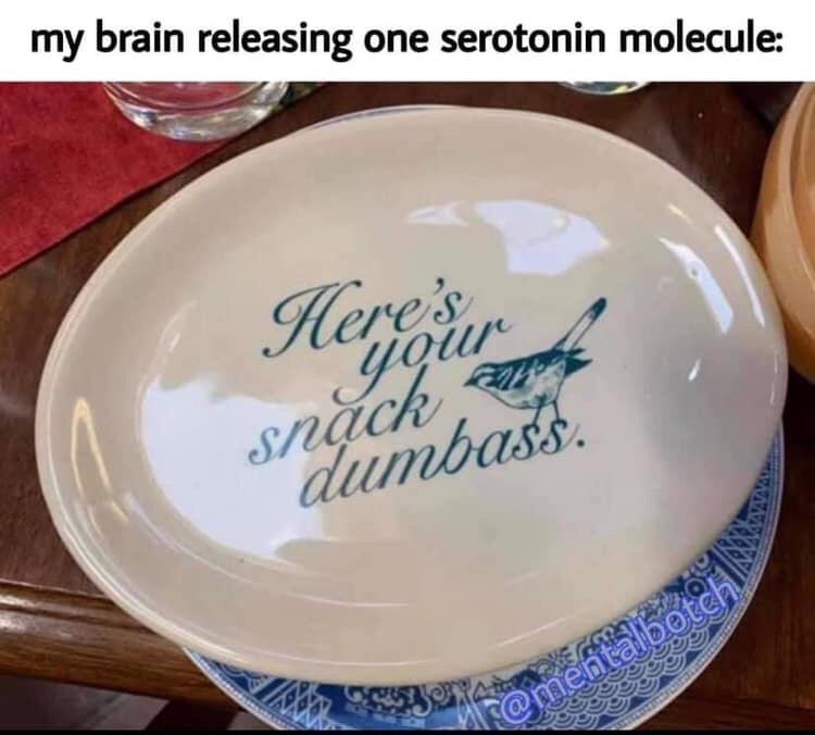 plate - my brain releasing one serotonin molecule Here cu snach a dumbass. 09