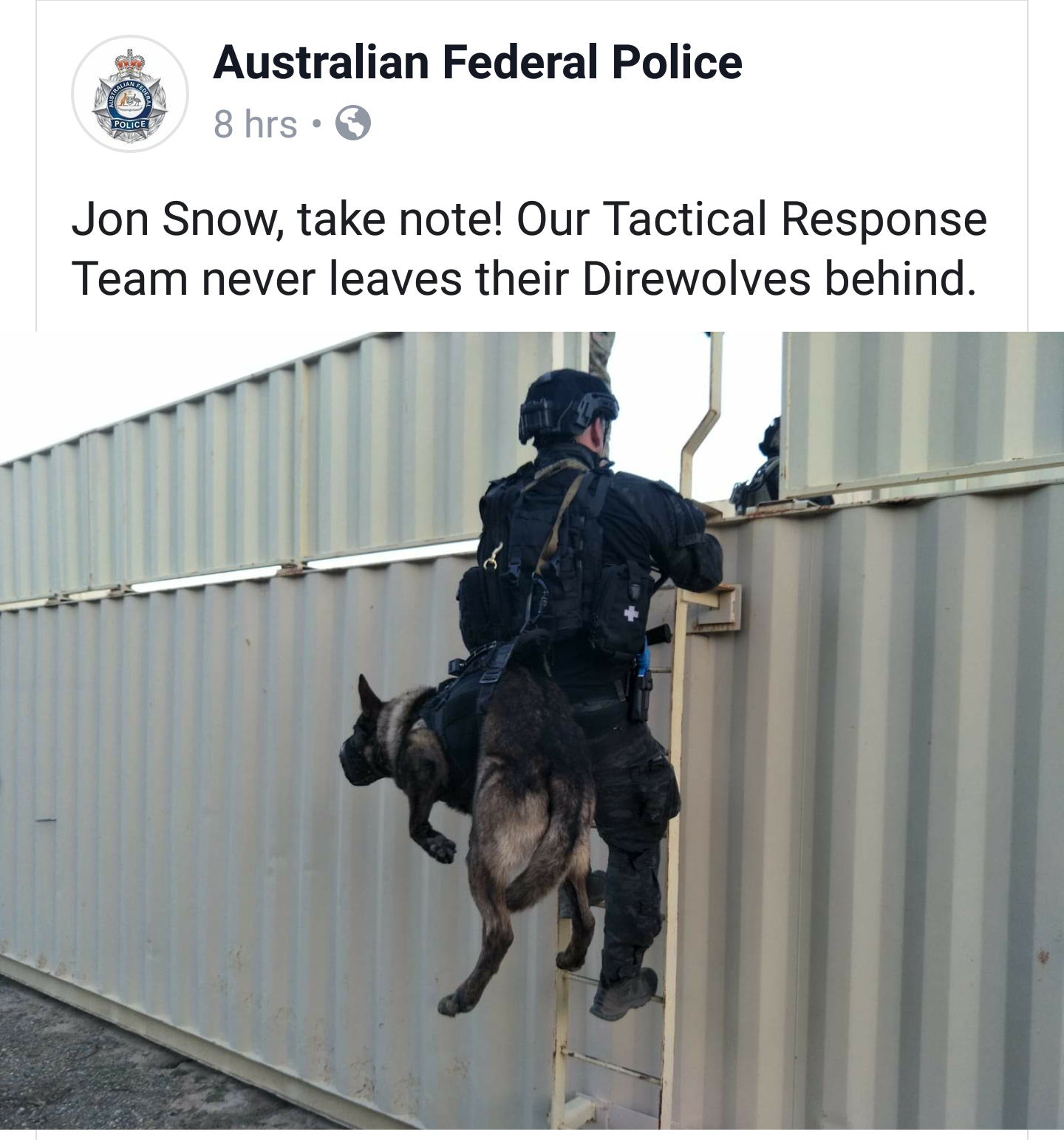 australian federal police - Australian Federal Police 8 hrs. Jon Snow, take note! Our Tactical Response Team never leaves their Direwolves behind.