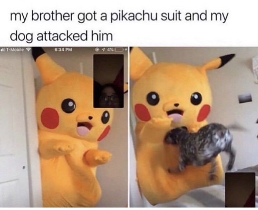 pikachu costume meme - my brother got a pikachu suit and my dog attacked him TMobile 634 Pm