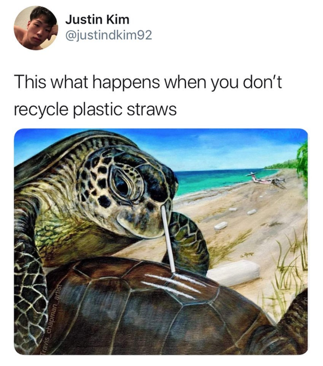 turtle and plastic straw - Justin Kim This what happens when you don't recycle plastic straws as chapman_