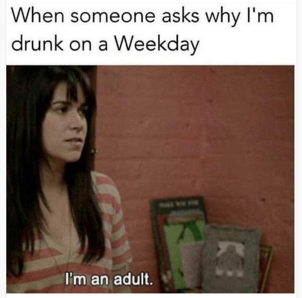 someone asks why i m drunk - When someone asks why I'm drunk on a Weekday I'm an adult.