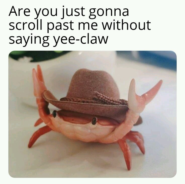 yee claw - Are you just gonna scroll past me without saying yeeclaw