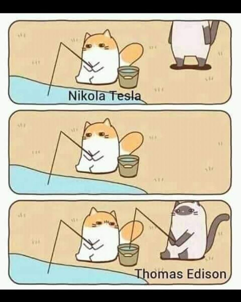 fishing cat meme - Nikola Tesla Thomas Edison
