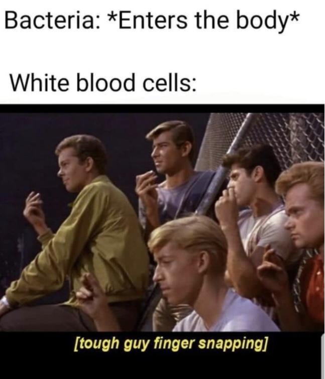 finger snap west side story gif - Bacteria Enters the body White blood cells tough guy finger snapping