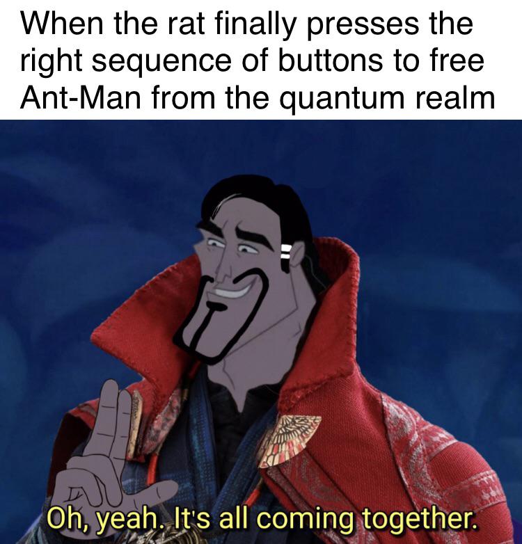 it's all coming together meme - When the rat finally presses the right sequence of buttons to free AntMan from the quantum realm Oh, yeah. It's all coming together.