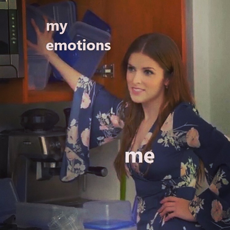 me my emotions meme - my emotions me