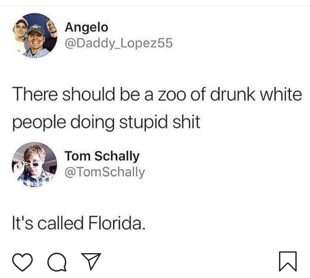 material - Angelo There should be a zoo of drunk white people doing stupid shit Tom Schally Schally It's called Florida. oo
