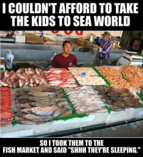 couldn t afford to take the kids - I Couldn'T Afford To Take The Kids To Sea World So I Took Them To The Fish Market And Said "Shhh They'Re Sleeping."
