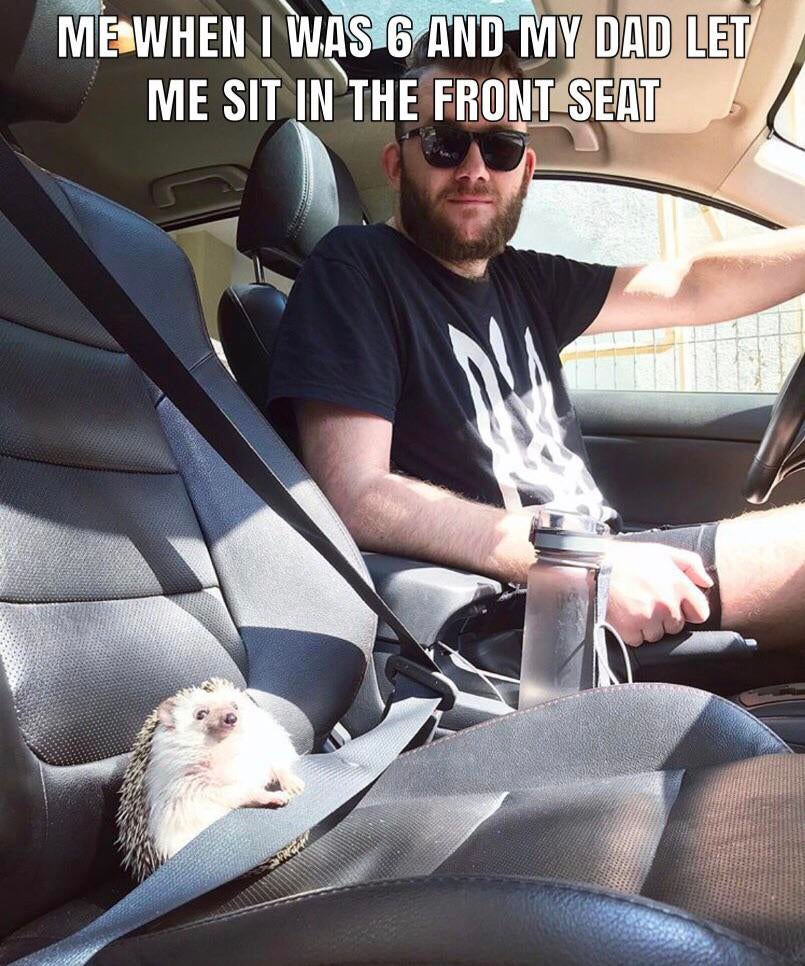 Humour - Me When I Was 6 And My Dad Let Me Sit In The Front Seat