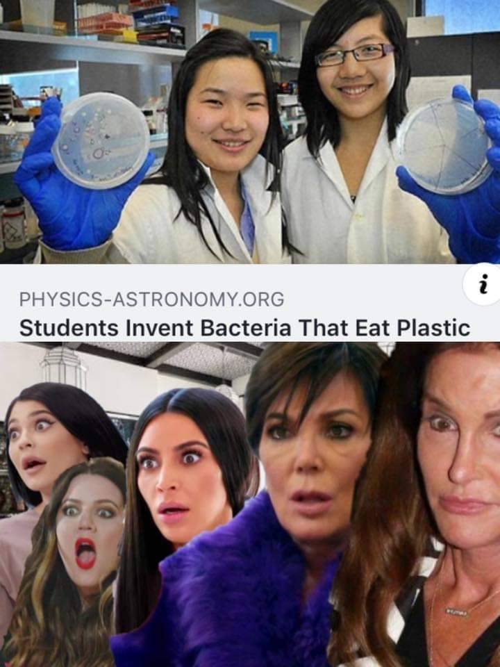 jeanny yao and miranda wang - PhysicsAstronomy.Org Students Invent Bacteria That Eat Plastic