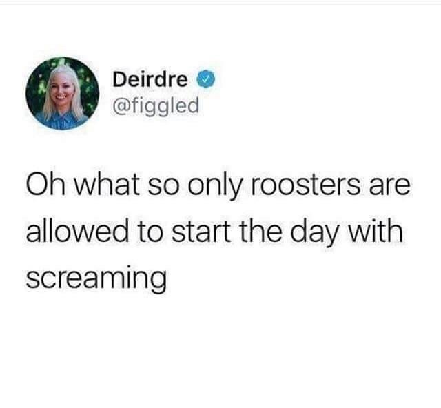 oh what so only roosters are allowed - Deirdre Oh what so only roosters are allowed to start the day with screaming