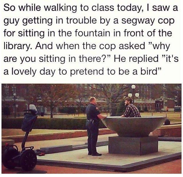 photo caption - So while walking to class today, I saw a guy getting in trouble by a segway cop for sitting in the fountain in front of the library. And when the cop asked "why are you sitting in there?" He replied "it's a lovely day to pretend to be a bi