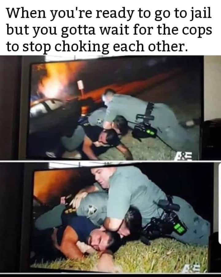 cop chokes out partner - When you're ready to go to jail but you gotta wait for the cops to stop choking each other.