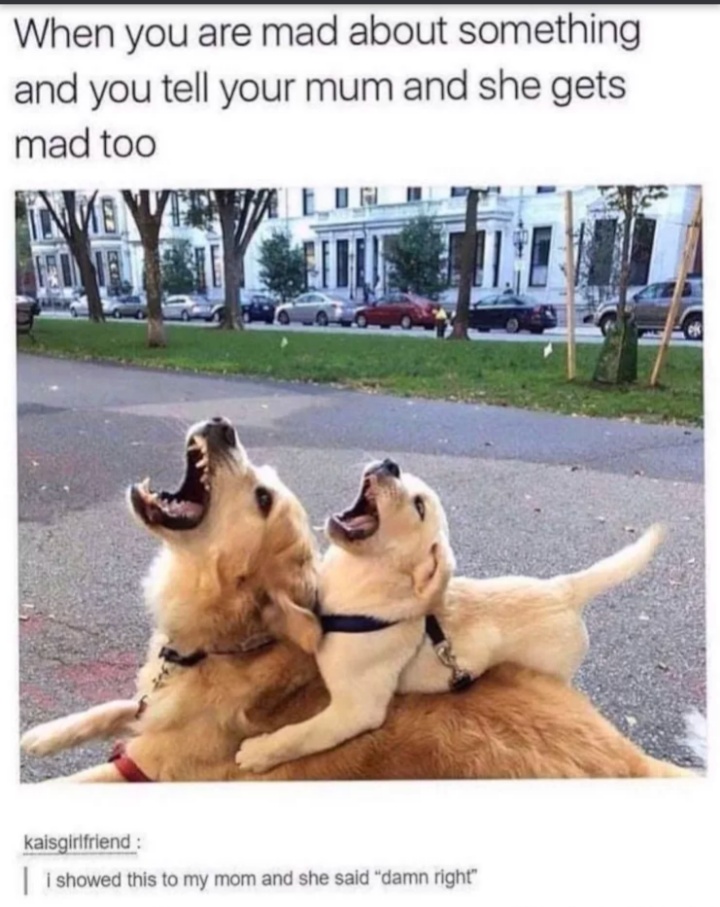 don t speak to me or my son ever again - When you are mad about something and you tell your mum and she gets mad too Di kaisgirlfriend i showed this to my mom and she said