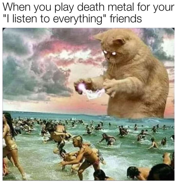 listen to everything meme - When you play death metal for your