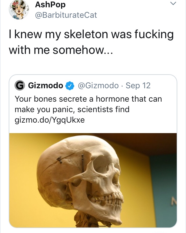bone - AshPop I knew my skeleton was fucking with me somehow... G Gizmodo Sep 12 Your bones secrete a hormone that can make you panic, scientists find gizmo.doYgqUkxe