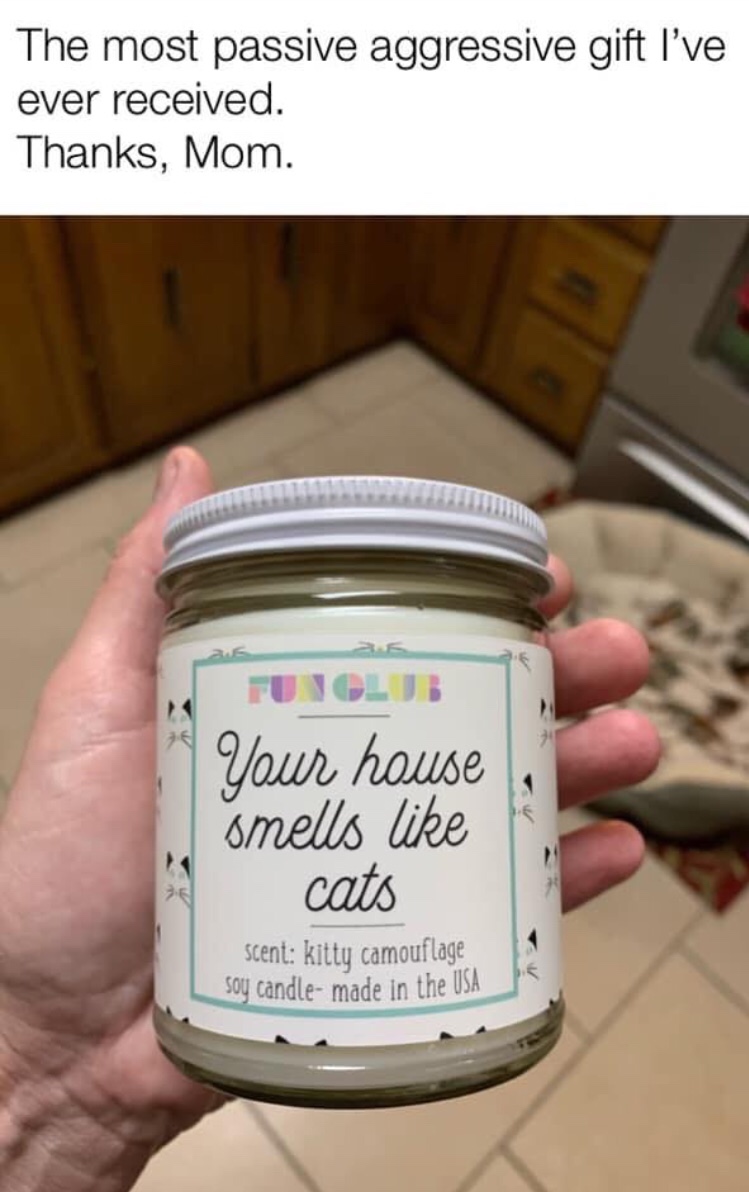 mason jar - The most passive aggressive gift I've ever received. Thanks, Mom. Your house smells cats scent kitty camouflage soy candle made in the Usa