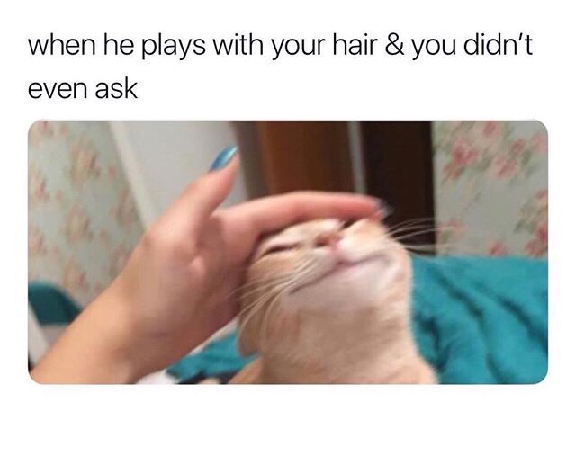 he plays with your hair and you didn t even ask - when he plays with your hair & you didn't even ask