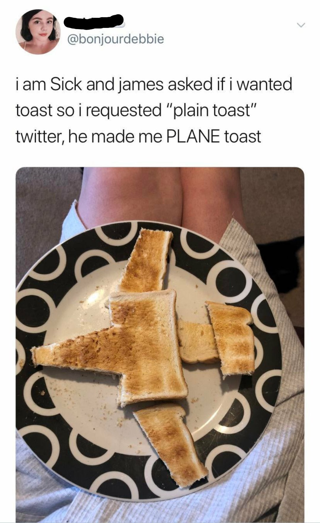 Meme - i am sick and james asked if i wanted toast so i requested "plain toast" twitter, he made me Plane toast