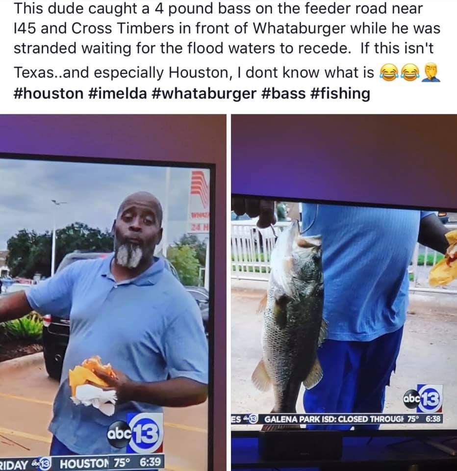 water - This dude caught a 4 pound bass on the feeder road near 145 and Cross Timbers in front of Whataburger while he was stranded waiting for the flood waters to recede. If this isn't Texas..and especially Houston, I dont know what is obce Es 3 Galena P