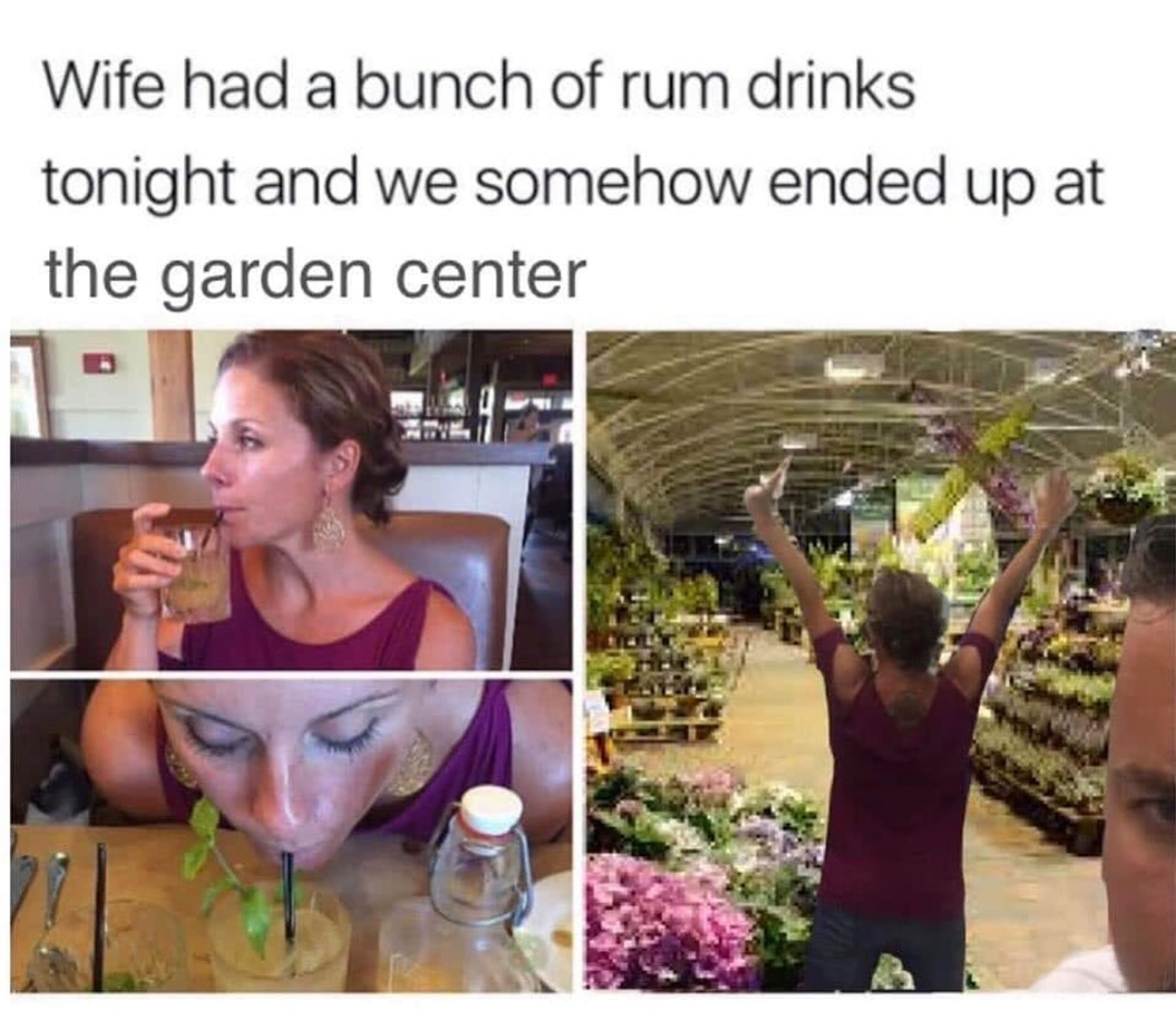floral design - Wife had a bunch of rum drinks tonight and we somehow ended up at the garden center