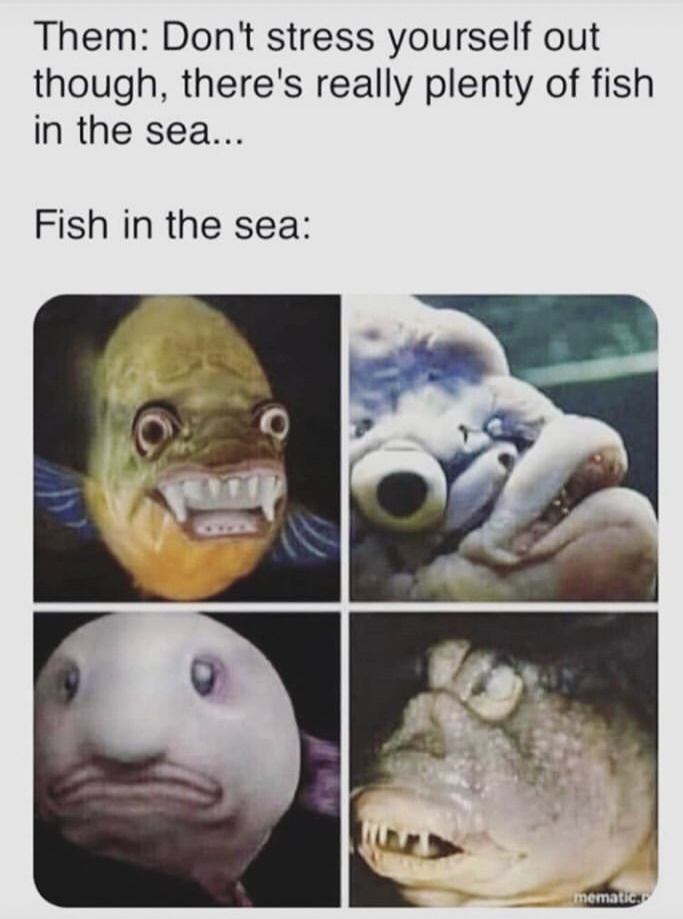 plenty of fish meme - Them Don't stress yourself out though, there's really plenty of fish in the sea... Fish in the sea mematic