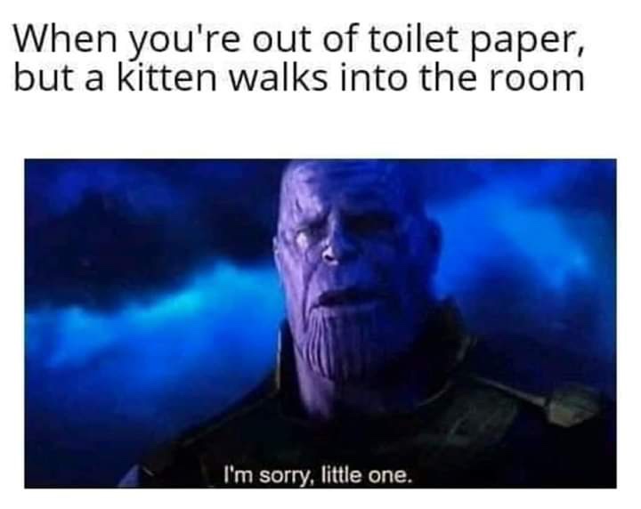 funny jokes for kids - When you're out of toilet paper, but a kitten walks into the room I'm sorry, little one.
