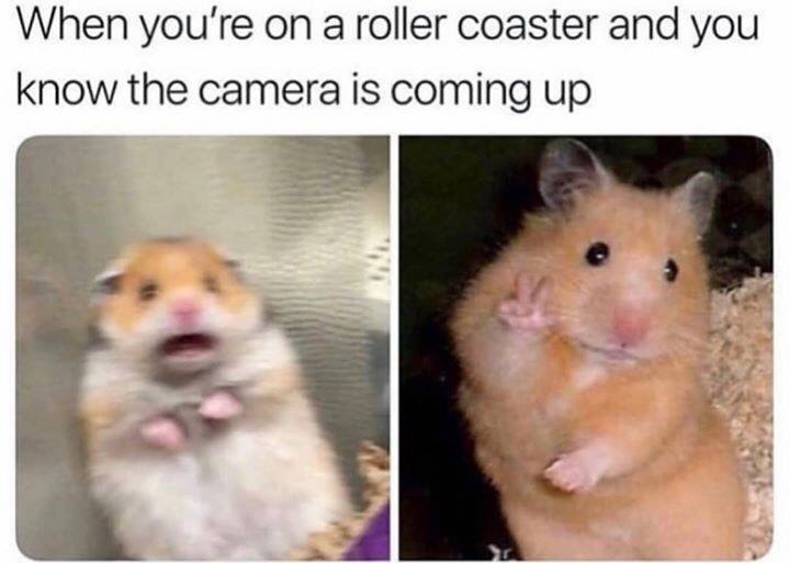 you re on a roller coaster meme - When you're on a roller coaster and you know the camera is coming up