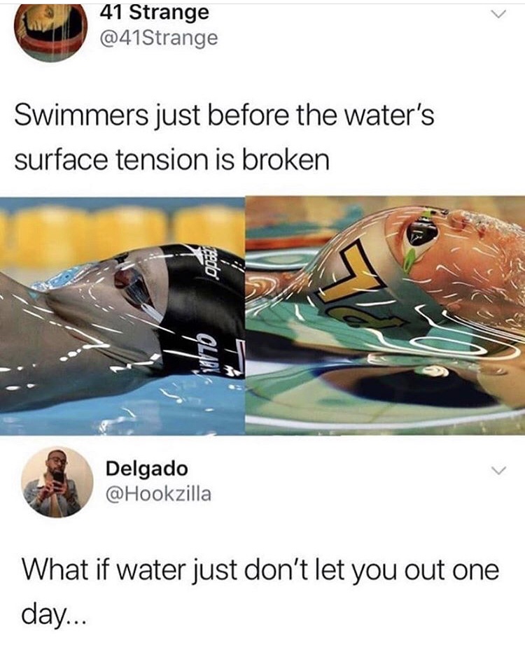 Meme - 41 Strange Swimmers just before the water's surface tension is broken 12200 Olad Delgado What if water just don't let you out one day...