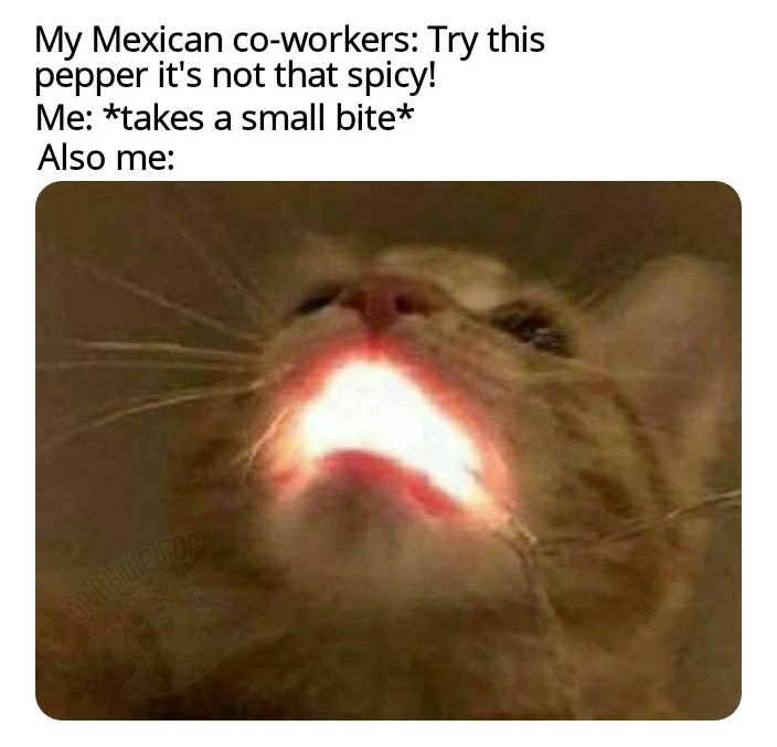 cat glowing mouth - My Mexican coworkers Try this pepper it's not that spicy! Me takes a small bite Also me