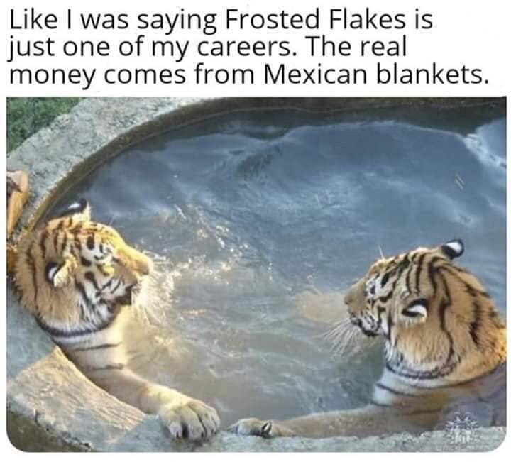tigers hot tub - I was saying Frosted Flakes is just one of my careers. The real money comes from Mexican blankets.