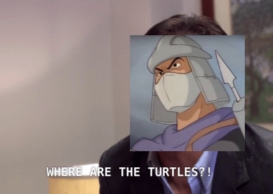 turtles office meme - Where Are The Turtles?!
