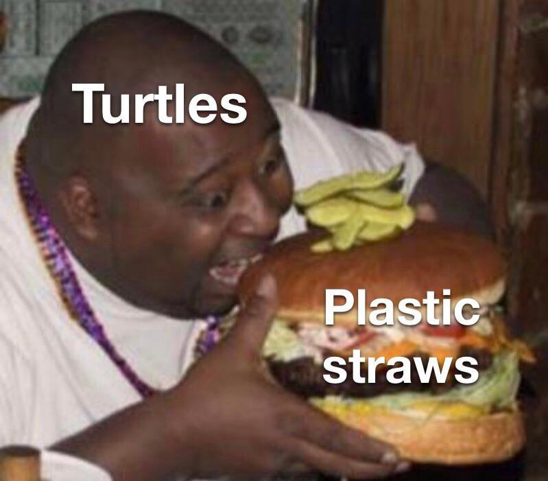 fat people eating hamburgers - Turtles Plastic straws