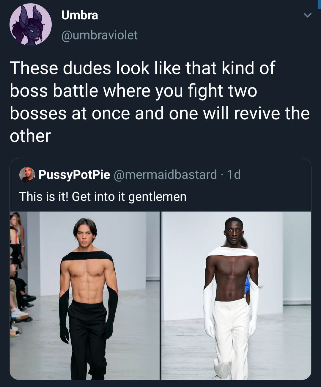stand user can be anywhere meme - Umbra These dudes look that kind of boss battle where you fight two bosses at once and one will revive the other PussyPot Pie 1d This is it! Get into it gentlemen